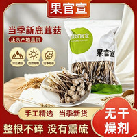 移动端：果官宣 头茬鹿茸菇干货整根鹿茸菇菌菇火锅食材鹿耳菇批发炖汤