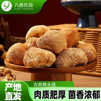 九邑优品 古田特产猴头菇干货营养晒干饱满煲汤食材原产地直发