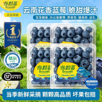 Driscoll's 云南花香蓝莓 精品A级大果 18mm+ 125g*4盒