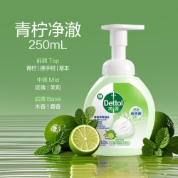 滴露 泡沫抑菌洗手液玻尿酸护手家用儿童学生官方正品
