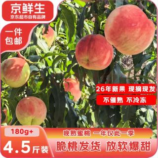 京鲜生 山东莱阳秋桃 金秋红蜜 净重4.5斤 单果180g+ 生鲜水果源头直发 品种以焦点图为准