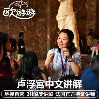 法国巴黎卢浮宫中文讲解半日/一日游6人小团博物馆持证导游含门票