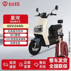 台铃 电动车星河2025电动摩托车长续航代步车踏板车60V24A