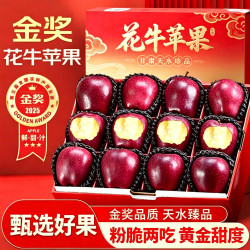 东鲜丰 甘肃天水花牛苹果 净重4.5斤
