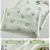名果 莱赛尔天丝凉感 30x50cm 儿童枕套
