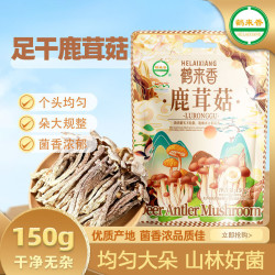 鹤来香 鹿茸菇150克云南非野生山珍食用菌脆脆菇 鹿茸菇150g