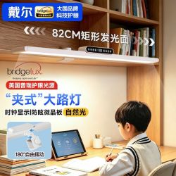 戴尔 护眼台灯AA级健康照明桌挂式宿舍卧室专用阅读学习灯开学用品