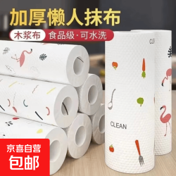 懒人抹布干湿两用家务厨房一次性20*20