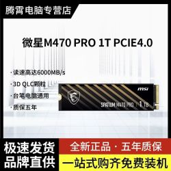 微星 SSD固态硬盘M470 PRO 1TB PCLE4.0 M.2台式笔记本通用