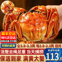 大闸蟹 现货鲜活公母蟹 海鲜中秋礼盒 公3.0-3.3两 母2.0-2.3两 8只/四对