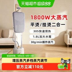 荣事达 手持蒸汽挂烫机家用熨斗烫衣服小型手持熨烫机挂立式电熨斗