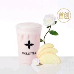 茉莉奶白 针王苹果(首创) 中杯