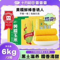 十月稻田 [头茬新玉米]十月稻田东北黄糯玉米6kg3箱低脂粗粮早餐速食囤货装