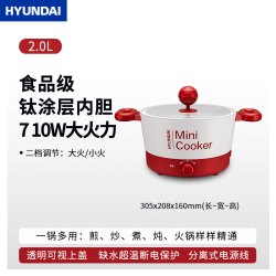 HYUNDAI 韩国HYUNDAI电煮锅钛涂层多功能宿舍学生锅3L家用小电锅电火锅