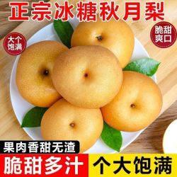秋月梨4.5斤只要8.2