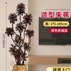 雅致 朱蕉 大型绿植盆栽