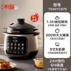 苏泊尔 中华炽陶电炖锅炖汤家用炖盅电砂锅养生锅煲汤锅多功能粥锅