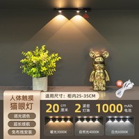 登上文化 ND-MYDWD led灯条 20CM 黑色