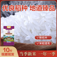金健 2025当季新米 泰国香米  箱规4包5kg 5kg 5kg