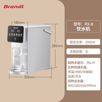 Brandt 饮水机不锈钢即热式饮水机家用桌面饮水器直饮热水机