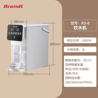 Brandt 饮水机不锈钢即热式饮水机家用桌面饮水器直饮热水机