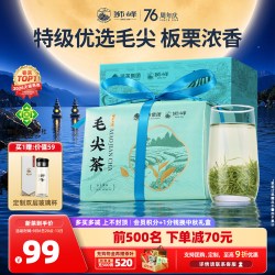 狮峰 牌毛尖茶叶2025新茶特级优选绿茶春茶浓香250g纸包店