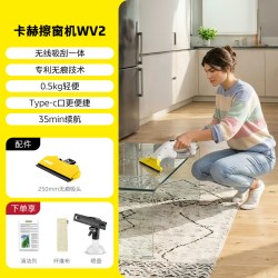 卡赫 德国卡赫电动擦窗机器人家用手持电动擦玻璃器镜面瓷砖清洁器WV2
