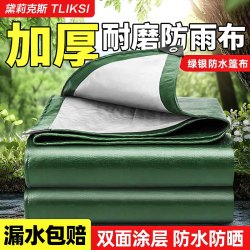黛莉克斯 TLIKSI篷布加厚防水布货车防雨布篷布遮阳遮雨防晒塑料布蓬布 绿银2X2