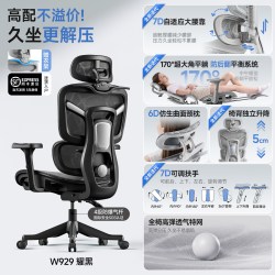 朗域轩品 人体工学椅子护腰久坐不累电竞椅可躺办公室椅靠背座椅家用电脑椅