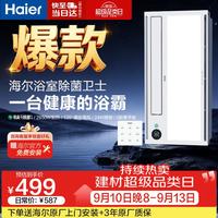 海尔 HD28R 双电机风暖浴霸