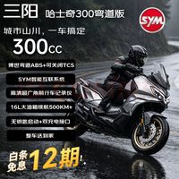 SYM 哈士奇300 26款 长续航 踏板燃油摩托车 太空灰