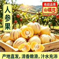 山疆湾 产地直发精品云南人参果5斤香甜可口原汁原味