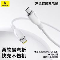百亿补贴：倍思 双Type-C接口 100W快充 数据线