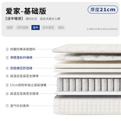 凤阳 家用撑腰护脊纤维偏硬乳胶偏软分区独袋弹簧厚床垫子