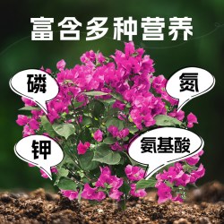 仙花四季 三角梅再生剂植物浓缩营养液绿植花卉盆栽家庭园艺免稀释水溶肥料