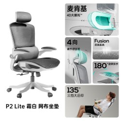 黑白调 P2Lite人体工学椅电脑椅家用舒适久坐电竞椅