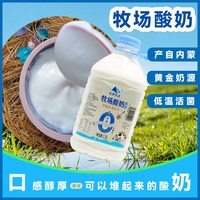内蒙老酸奶3斤大桶装0蔗糖0代糖0添加剂生牛乳发酵