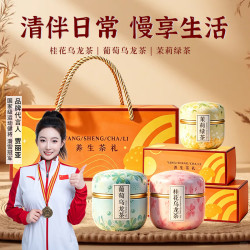 丰之沛 茉莉陈皮茯苓茶1罐10袋