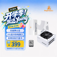 鑫谷 PM650W 白金牌认证 白色 650W 全模组电源