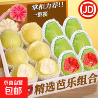 京喜自营-专用品牌 新鲜正宗广东产地直采红心白心芭乐双拼软糯香甜水果单果100g+ 5斤双拼净重4.2斤（红心+白心）