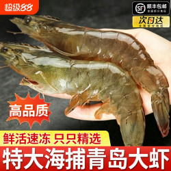 虾有虾途 当季新捕青岛大虾鲜活速冻基围虾南美白对虾3斤