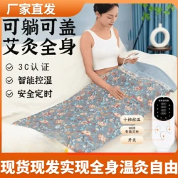 艾绒艾灸垫电加热全身灸艾草电热单人热敷褥子床垫家用艾灸暖垫