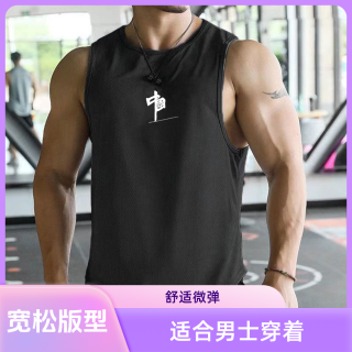 新款无袖健身背心男士夏季宽松透气吸汗弹力薄款背心肌肉撸铁跑步