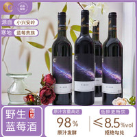 忠芝 2箱野生蓝莓酒星空订制甜型750ml*4瓶/箱