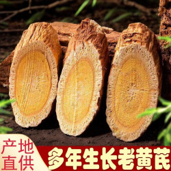 杞天润甘肃岷县深山采挖野黄芪大片250克 原产地直发