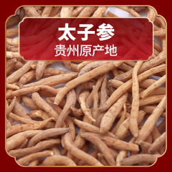 太子参贵州道地食材精选大颗粒泡水煲湯煮粥