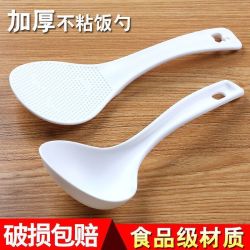 湛晓 电饭煲电压力锅配件原装塑料食品PP饭勺 盛饭勺 勺子汤勺嘉腾