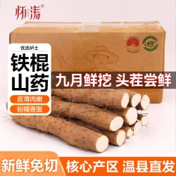 怀涛 温县铁棍山药河南焦作铁杆淮山药新鲜整箱怀山药正宗特产正品