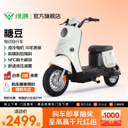 绿源 ZOF 电动自行车  LY2000DT-9