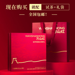 万山红 武夷红茶金骏眉+正山小种 送礼茶叶礼盒  红茶组合192g
